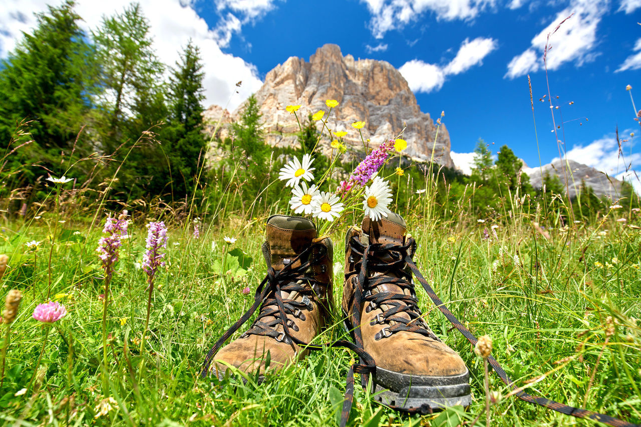 Wandern &amp; Walking Landhotel Beck Aktivurlaub Hohenlohe Schwäbisch Hall